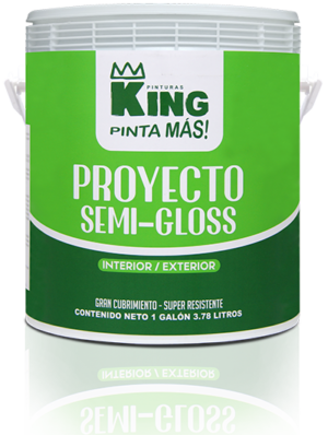 proyecto semi gloss copy 33.png