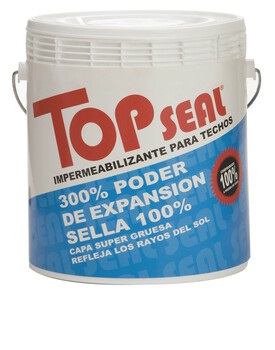 top seal 1.jpg
